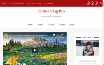 Online Vlog Pro (screenshot desktop)