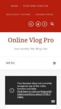 Online Vlog Pro (screenshot mobile)
