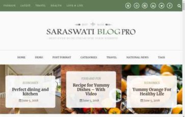 Saraswati Blog Pro (screenshot desktop)