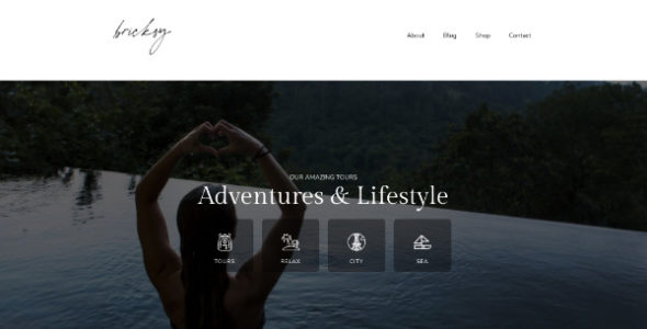 Bricksy (Anariel Design)