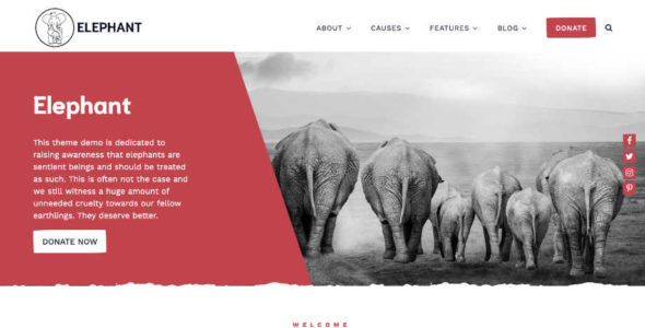 Elephant (Anariel Design)