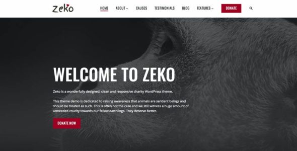 Zeko (Anariel Design)