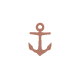 Author Icon