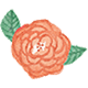Author Icon