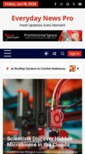 Everyday News Pro (screenshot mobile)