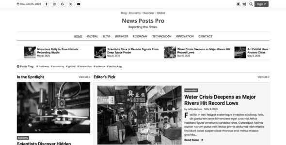 News Post Pro (Artify Themes)