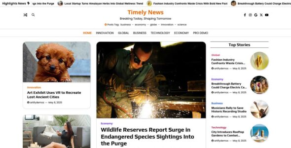 Timely News (Artify Themes)