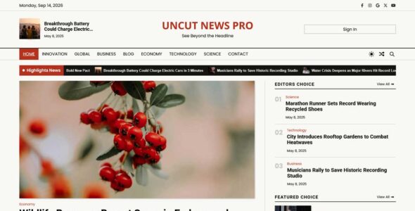 Uncut News Pro (Artify Themes)