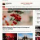Uncut News Pro (Artify Themes)