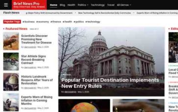 Brief News Pro (screenshot desktop)