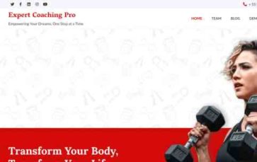 Expert Coaching Pro (screenshot desktop)