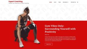 Expert Coaching (Ascendoor)