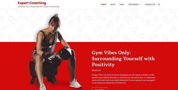 Expert Coaching (Ascendoor)
