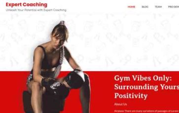 Expert Coaching (screenshot desktop)