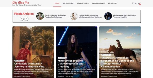 Lite Blog Pro (Ascendoor)