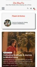 Lite Blog Pro (screenshot mobile)