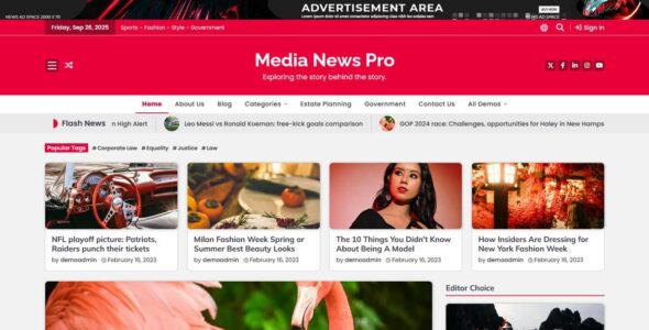 Media News Pro (Ascendoor)