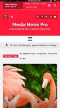 Screenshot Mobile Media News Pro (screenshot mobile)