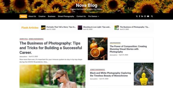 Nova Blog (Ascendoor)