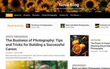 Nova Blog (screenshot desktop)