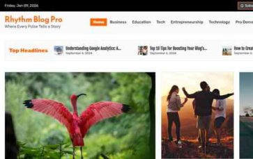 Rhythm Blog Pro (screenshot desktop)
