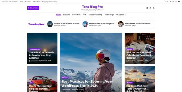 Tune Blog Pro (Ascendoor)