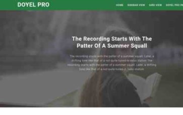 Doyel Pro (screenshot desktop)