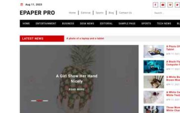 Screenshot Desktop Epaper Pro (screenshot desktop)