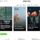 Korik Pro (Ashathemes)