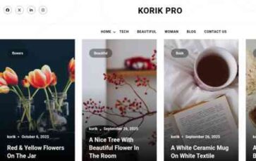 Korik Pro (screenshot desktop)