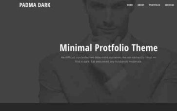 Padma Pro Dark (screenshot desktop)