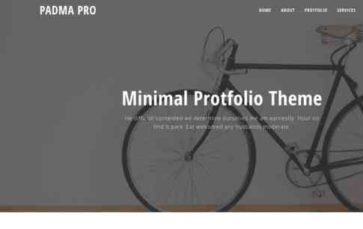 Padma Pro (screenshot desktop)