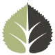 Author Icon