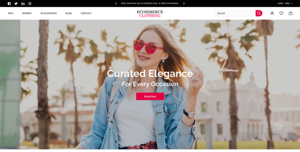 Ecommerce Clothing Pro (Aster Themes)