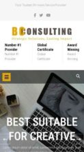 BC Consulting Pro (screenshot mobile)