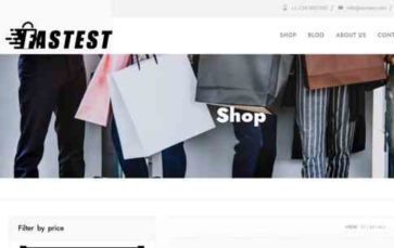 Fastest Shop (screenshot desktop)