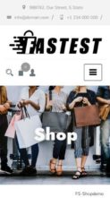 Fastest Shop (screenshot mobile)