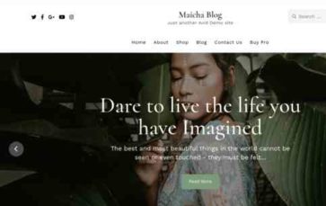 Maicha Blog Pro (screenshot desktop)
