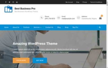 Best Business Pro (screenshot desktop)