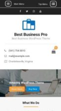 Best Business Pro (screenshot mobile)