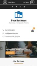 Best Business (screenshot mobile)