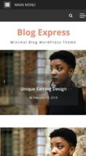 Blog Express (screenshot mobile)