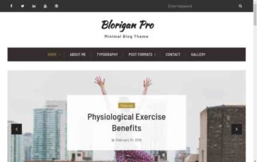 Blorigan Pro (screenshot desktop)