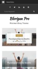 Blorigan Pro (screenshot mobile)
