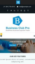 Business Club Pro (screenshot mobile)