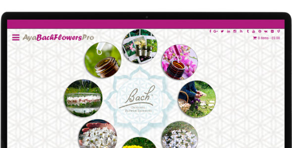 AyaBachFlowersPro (AYA Templates)