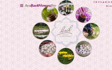 AyaBachFlowersPro (screenshot desktop)