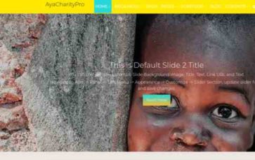 AyaCharityPro (screenshot desktop)