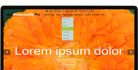 AyaHomeopathyPro (AYA Templates)