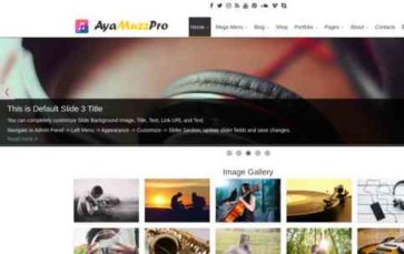 AyaMuzzPro (screenshot desktop)